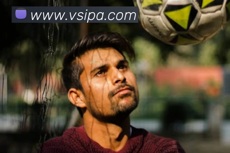 中欧网页在线 - 中欧(中国)平台生态图